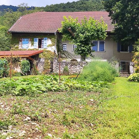 Du Vent Dans Les Arbres -120M2 Belle Vue Sur Le Lac Chindrieux Dış mekan fotoğraf