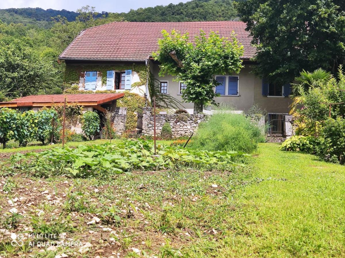 Du Vent Dans Les Arbres -120M2 Belle Vue Sur Le Lac Chindrieux Dış mekan fotoğraf