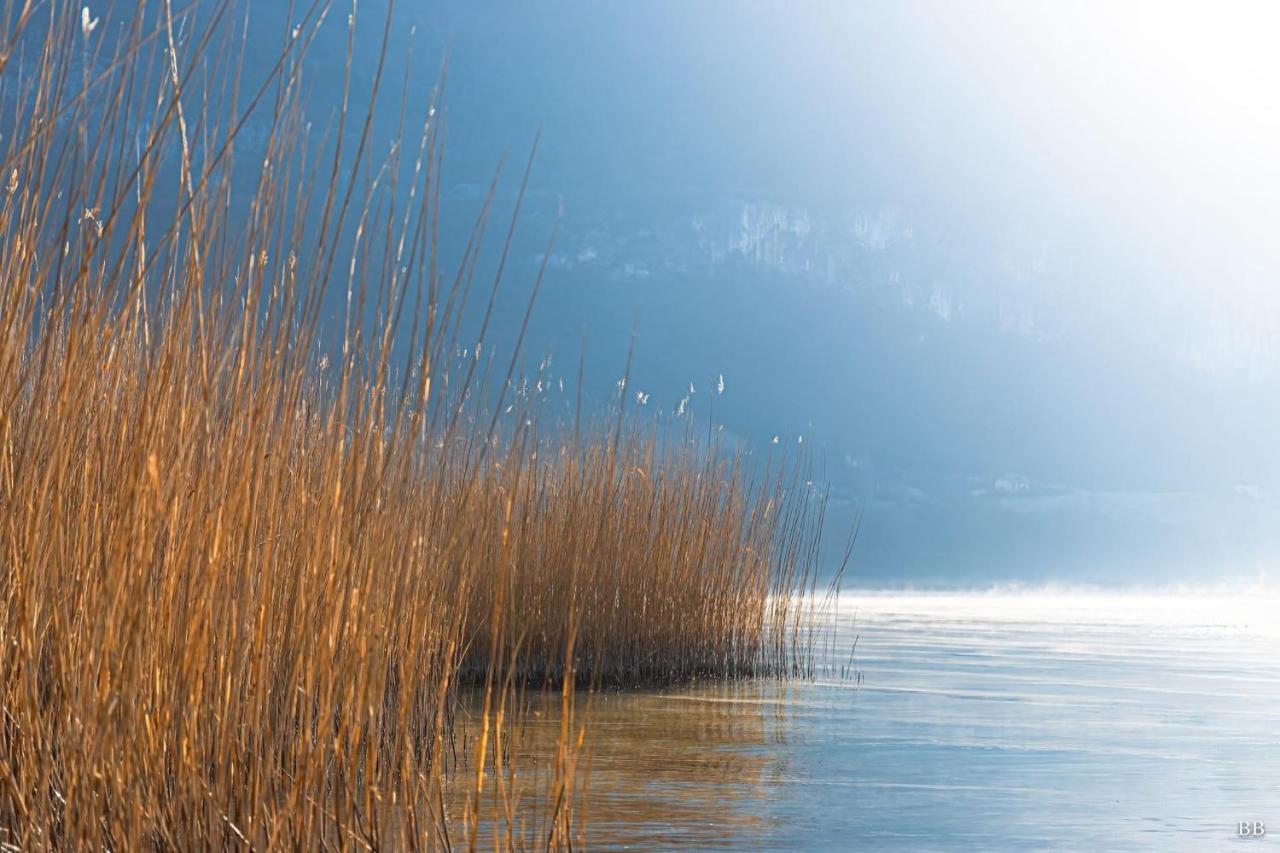 Du Vent Dans Les Arbres -120M2 Belle Vue Sur Le Lac Chindrieux Dış mekan fotoğraf