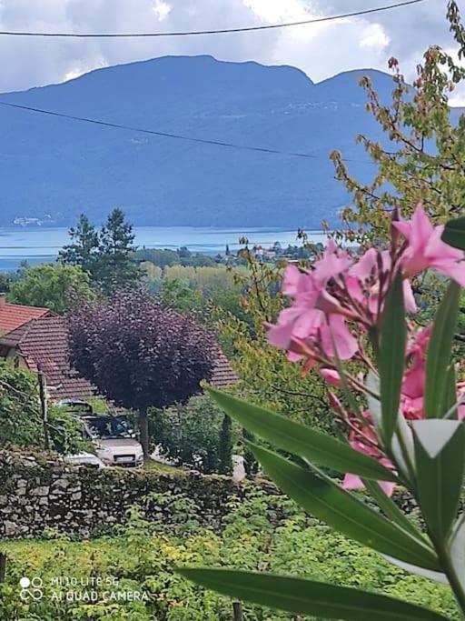 Du Vent Dans Les Arbres -120M2 Belle Vue Sur Le Lac Chindrieux Dış mekan fotoğraf